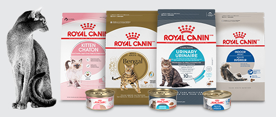 Royal Canin - Nourriture pour animaux