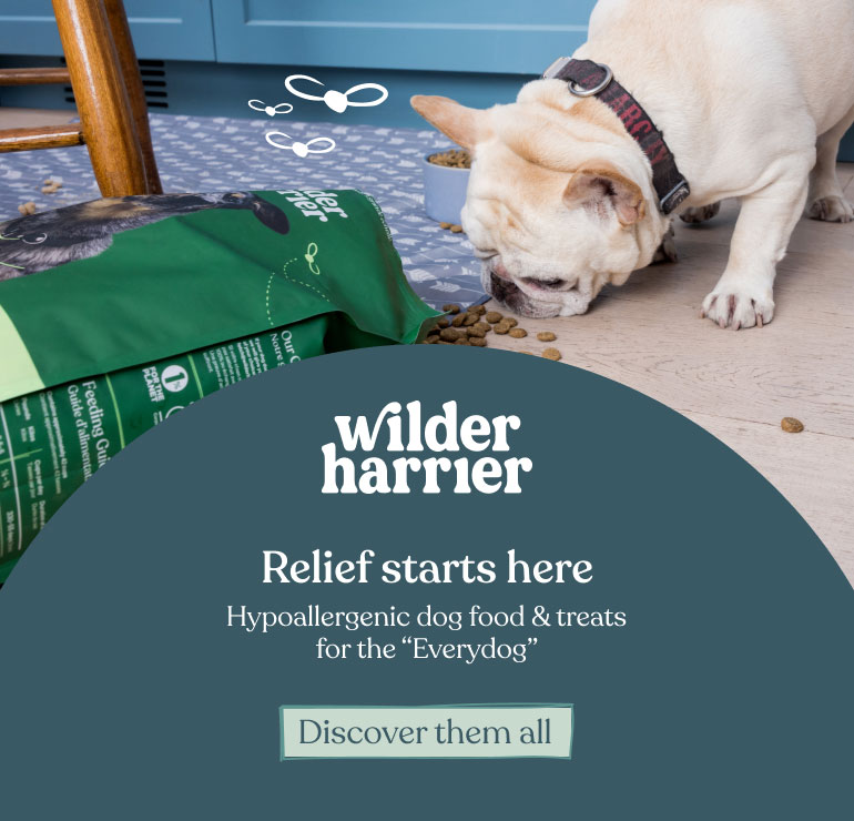 Wilder Harrier makes climate-friendly dog food and treats that relieve allergies and sensitive stomachs