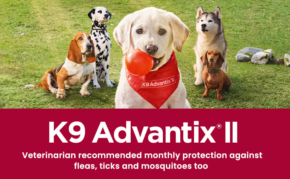 K9 Advantix II