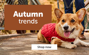 Shop Autumn trends