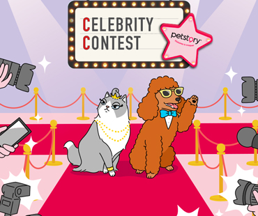 Contest Vedettes Petstory