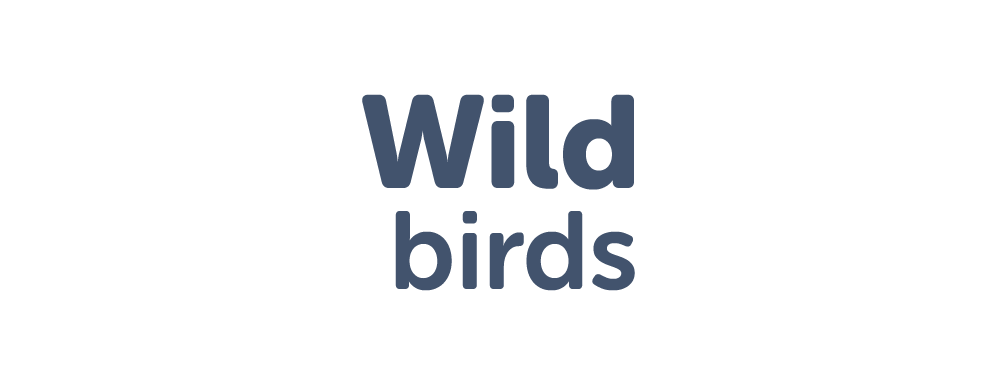 Title for section Birds