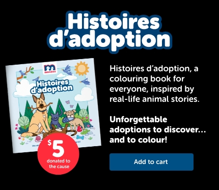 Vous pouvez échanger vos points Câlin en don ou faire des dons en argent.