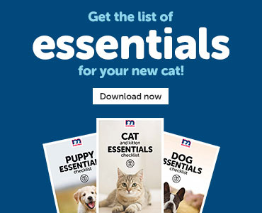 Check out the essentials checklist to make sure you are well prepared to welcome your new cat