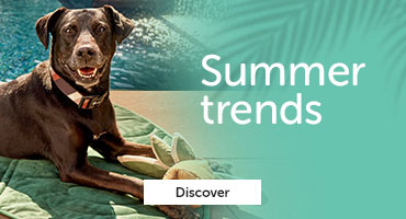 Discover the summer trends.