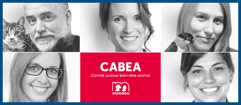 What is Mondou’s CABEA?