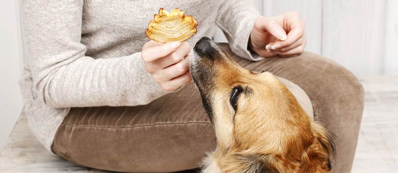 Preparing treats for your pets