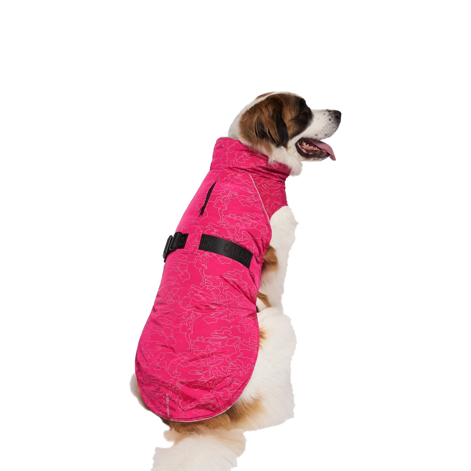 Canada pooch expedition store raincoat