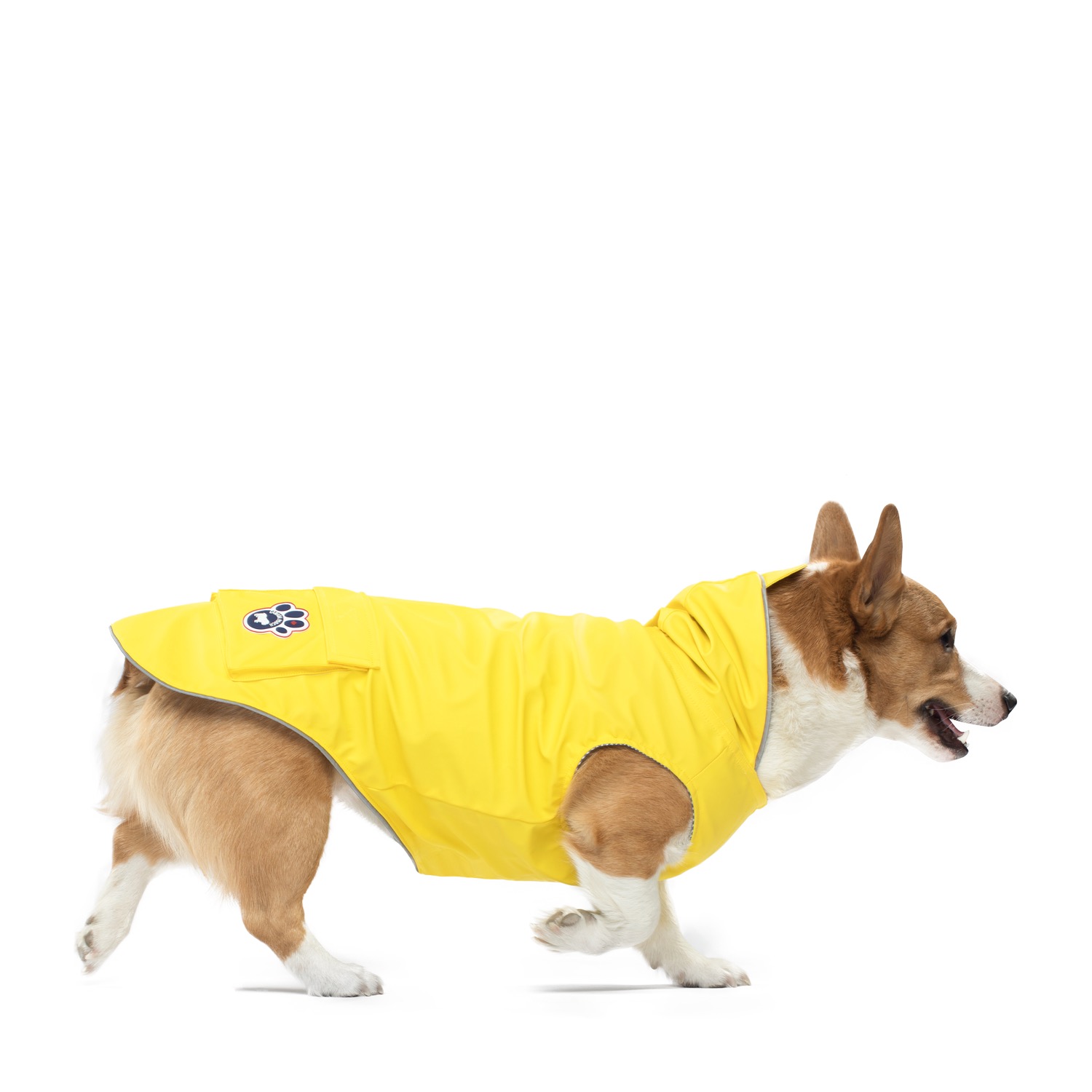 canada dog raincoat